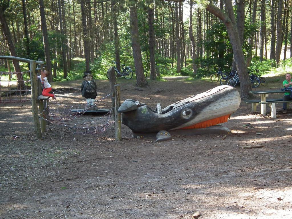 Hollumerduinen Kültér fotó