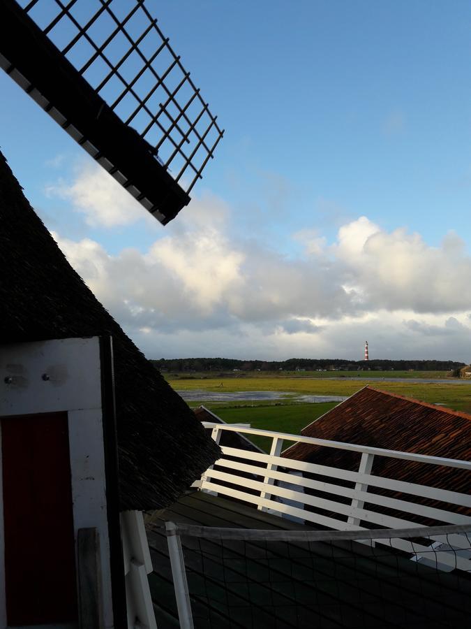 Hollumerduinen Kültér fotó
